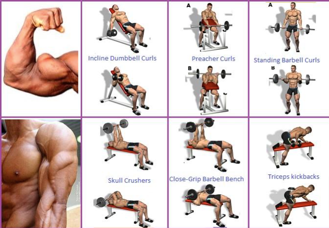 Simple Arm Workout Routine For Massive Ripped Arms