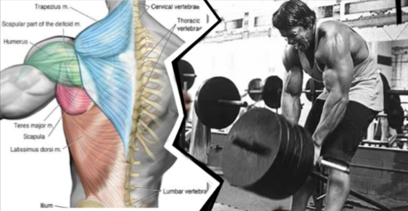 Back Workout: Blast Your Back In 10 Minutes