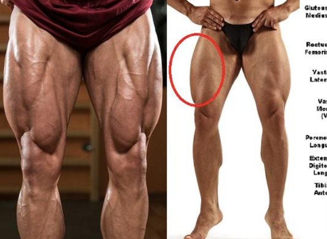The 5 Best Ways To Beef Up Skinny Legs