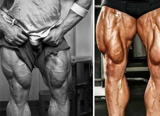 The Ultimate Leg-Training Workout