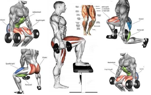 Top 4 Dumbbell Exercises For Legs