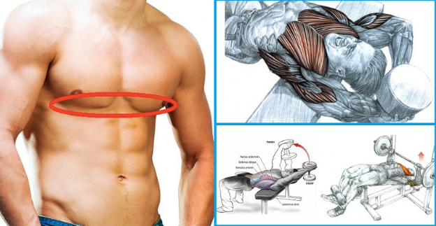 How To Tone Your Lower Chest Using 2 Simple Exercises