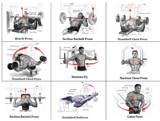 Mass Building Workout – 7 Exercises For an Explosive Chest