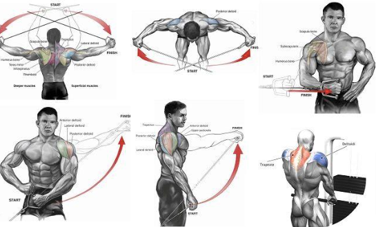 Build Your Shoulder Muscles With These Three Effective Workouts