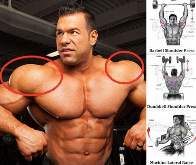 Top 5 Exercises To Build Shoulder Muscles