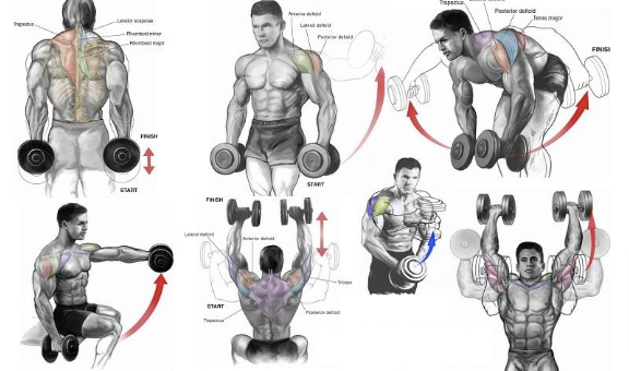 Top 6 Dumbbell Exercises for Shoulders