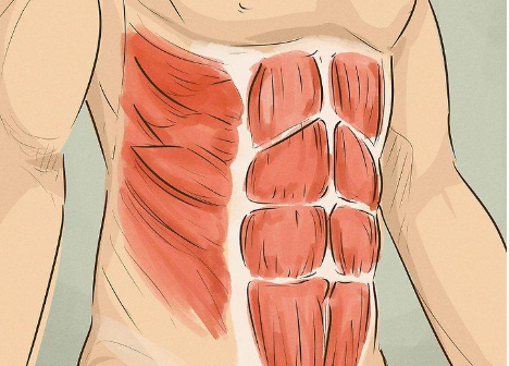 How Long Does it Really Take to Get Six Pack Abs?