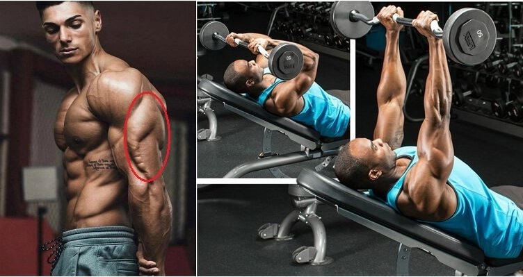 The Top 4 Exercises To Get Prefect Triceps