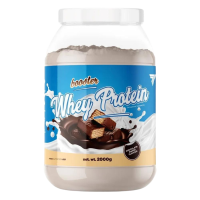 TREC NUTRITION BOOSTER WHEY PROTEIN